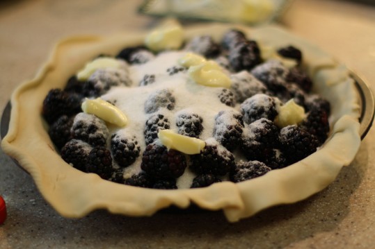 Blackberrys are piled in with a little sugar, flour and butter